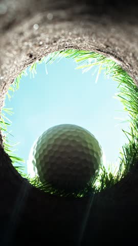Shutterstock Video