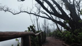 Pathway and Silhouettes of bare tree branches against dark blue grey overcast sky and fog. Halloween haunted forest concept - Powered by Shutterstock - Get 15% off with code: PIKWIZARD15