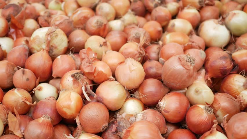 Freshly harvested onions are available for purchase at the local market for your cooking