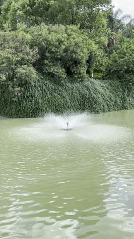 water fountain in a park full of bushes and trees on a sunny day, filmed vertically