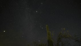 milky way time lapse around saguaro cactus - Powered by Shutterstock - Get 15% off with code: PIKWIZARD15
