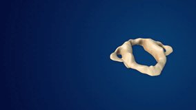 3D Human Skeleton and Bone Structure Atlas - Powered by Shutterstock - Get 15% off with code: PIKWIZARD15