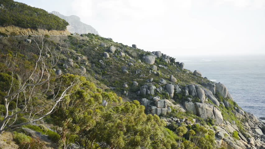 Rocky landscaped hill covered with green grass and bushes in South Africa, Cape town