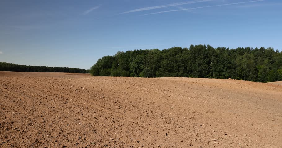 plowed field during the preparation of the soil for sowing, trees growing in the forest in spring next to the field on which the soil was plowed for sowing grain