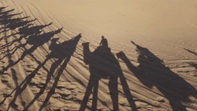 Caravan going through  sand dunes in Africa Sahara Desert, Morocco - Merzuga - tourist visit the desert  on camels during the holidays - adventure and freedom during a trip , safari - organized travel - Powered by Shutterstock - Get 15% off with code: PIKWIZARD15