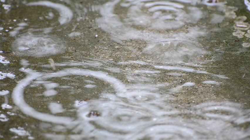 closeup footage rain drops on water surface