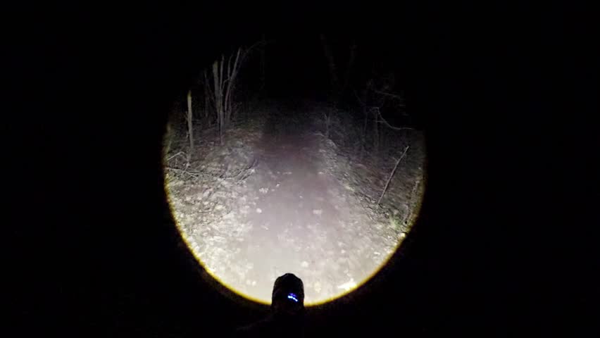 Bright beam of lantern illuminates path in dark night forest..
