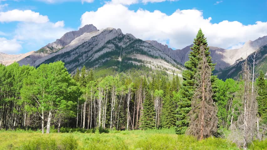 Stunning view of towering mountains and forested trees in Johnston Canyon, Banff