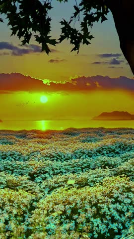 An extremely vibrant and stylized image of a field of white flowers overlooking the ocean at sunset or sunrise. The colors are highly saturated, 