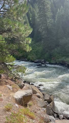 idaho river in the forest