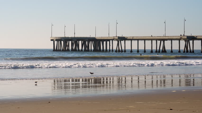 Charming view of Venice Fishing Pier with beach reflections and birds, illustrating a peaceful coastal scene in California.