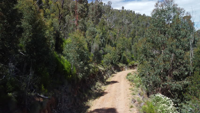 Goldies Spur Track off the Buckland Valley Road near Porepunkah and Mount Buffalo. 