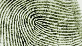 Detailed fingerprint in black ink on a clean white background. Close-up of unique ridge patterns that highlight identity and forensics. Symbol of individuality, security and biometrics - Powered by Shutterstock - Get 15% off with code: PIKWIZARD15