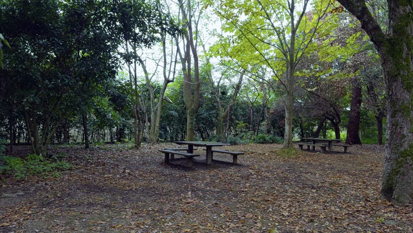 A serene outdoor park scene with picnic tables, autumn leaves, and lush trees
