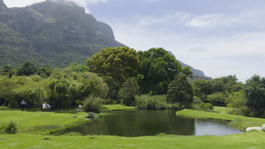 Slow motion shot of lake with dense bushes and trees at Kirstenbosch National Botanical Garden in Cape Town, South Africa.