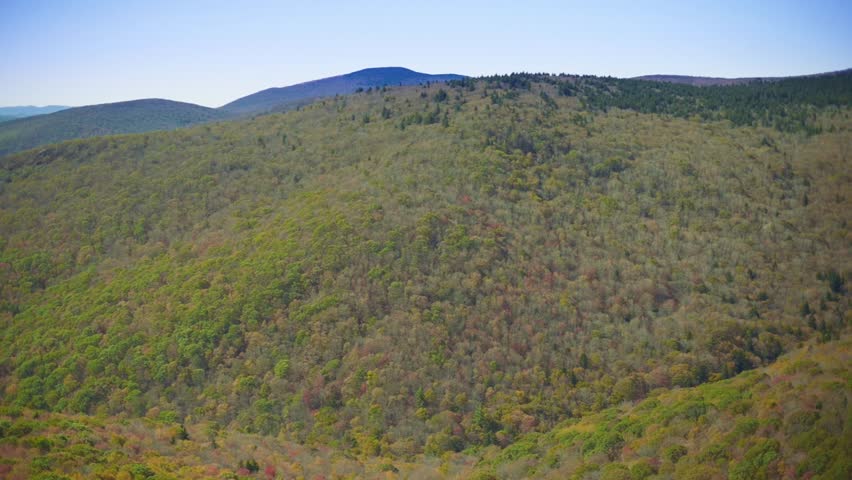 Aerial View of Appalachian Mountain Forest Landscape Breathtaking aerial view of lush green Appalachian mountain forests under clear blue sky, showcasing natural beauty and serenity.
