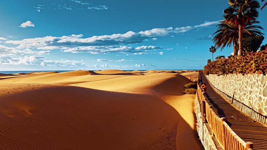 An expansive view captures the golden sand dunes of Gran Canaria under a clear blue sky. Lush palm trees line the walkway, offering a tranquil escape.