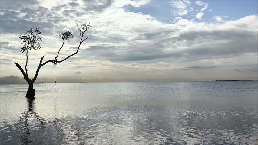 A serene beach scene with gentle waves rolling onto the shore, accompanied by a single small tree standing peacefully at the side. Relaxing coastal vibes.