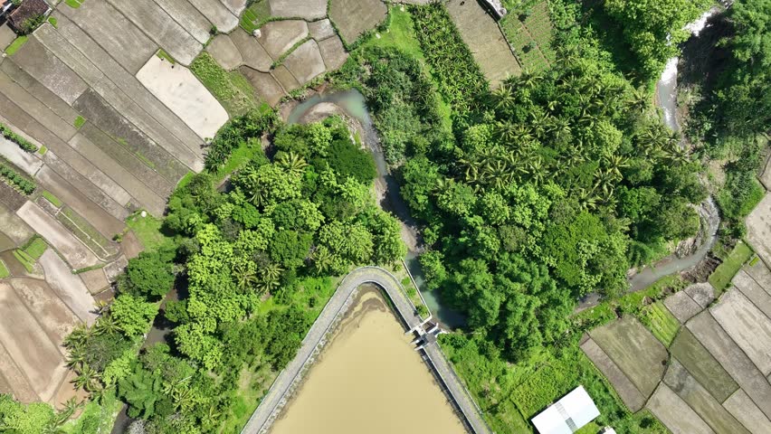 An aerial shot of a reservoir with muddy water, surrounded by vibrant green rice paddies and buildings.  A peaceful rural scene.