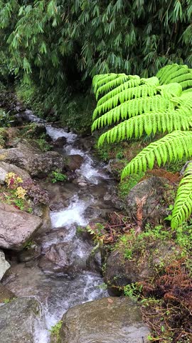 fast water flows between the rocks
