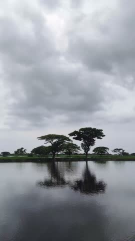 Trees standing by the edge of a pond under a cloudy sky, their reflections mirrored in the calm water, creating a peaceful and moody natural scene.