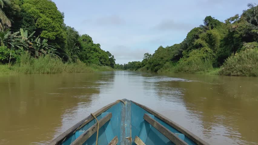 A small boat gently flows down a calm river surrounded by lush green vegetation. The video showcases the peacefulness of nature and the tranquility of a river journey.