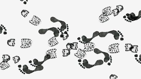Animated Footprints On White Background Stock Footage Video (100% ...