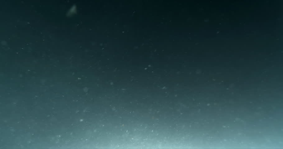 Shutterstock Video
