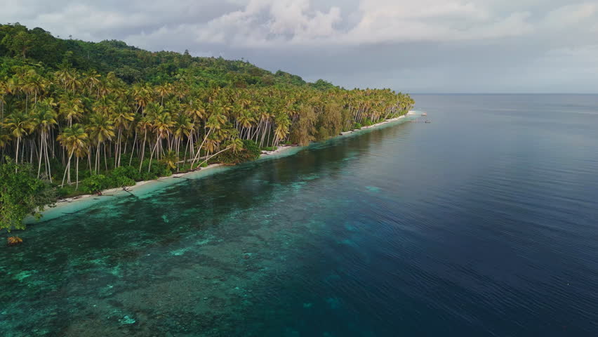 Paradise idyllic coastline with coconut palm trees and quiet clear sea in Indonesia