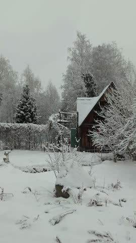 Winter landscape, snowy forest, trees and wooden house