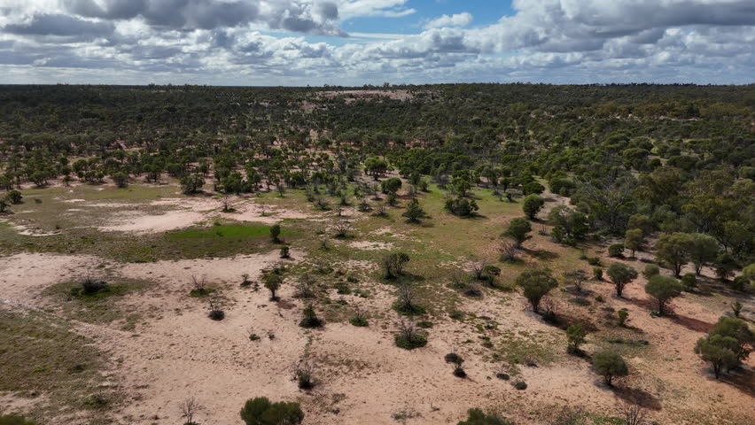 In and around Lightning Ridge, NSW, the various opal mines and outback that surrounds this unique town.  