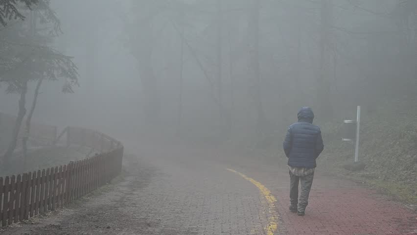 Person Walking on Foggy Forest Path. A lone figure walks along a misty forest path with a wooden fence and dense fog creating a moody, tranquil atmosphere. Golcuk laek national park in Blu city.

