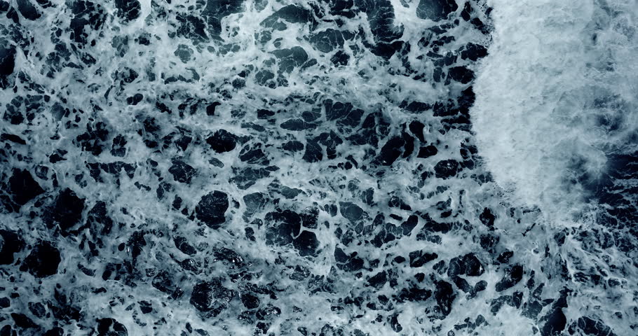 Shutterstock Video