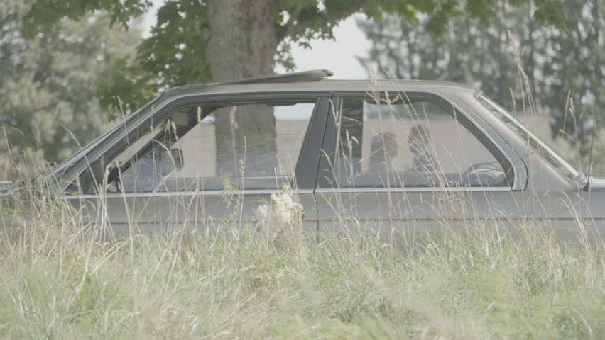 an exclusive car on the edge of a grass field and a couple standing behind the car can be seen in the windows