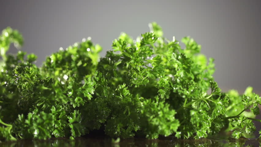 Fresh organic parsley with knife on wooden cutting board. Macro with shallow