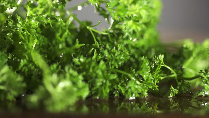 Fresh organic parsley with knife on wooden cutting board. Macro with shallow