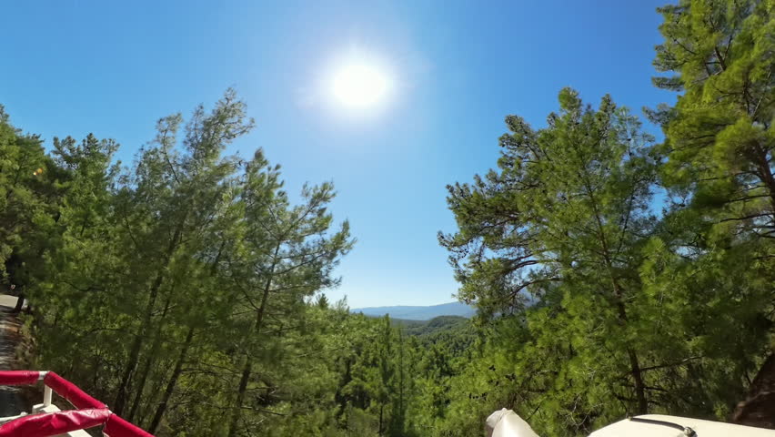 360 panorama. Wide-angle view of a curving Forest Road lined with Pine Trees. The Sun shines brightly overhead, casting light and shadows on the path as distant hills come into view.