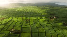 Patchwork pasture agricultural fields at sunset on Terceira Island. Aerial view - Powered by Shutterstock - Get 15% off with code: PIKWIZARD15