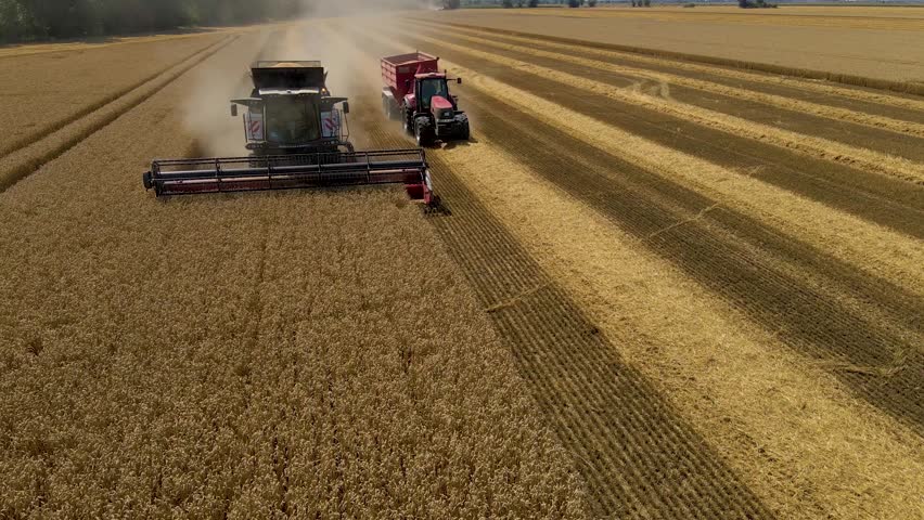 Aerial of Industrial harvesting of wheat fields by Combine Harvester in Germany on a sunny day
