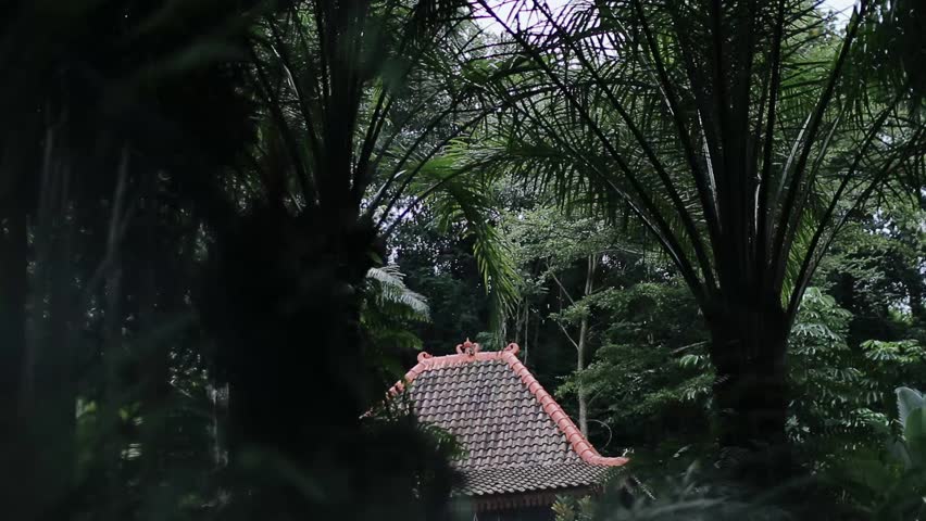 traditional house in the middle of the forest