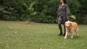 Golden Retriever walking happily alongside a person during a peaceful stroll in the park. Active dog enjoying a wellness walk, creating a relaxed and joyful moment in nature. - Powered by Shutterstock - Get 15% off with code: PIKWIZARD15