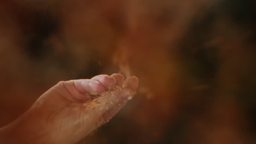 Professional chef adds pepper salt and curry curcuma indian peppers to a pot of boiling food. Restaurant kitchen cooking, colorful spices, dropping spices.