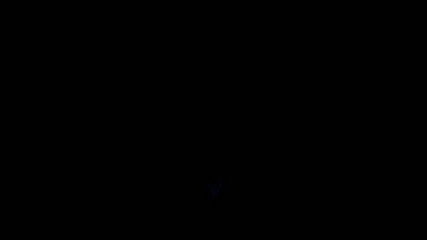 Effect Explosion Lighting Shockwave Fx Animation Loop