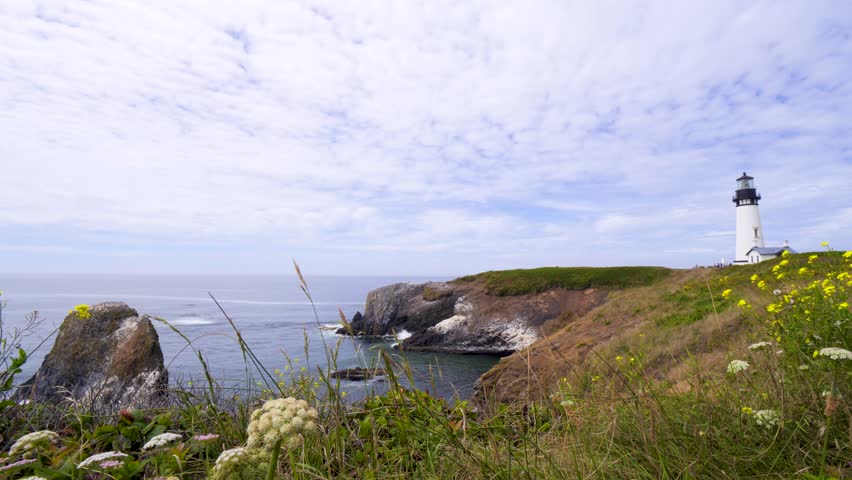 Flowers Blowing in the Wind at Tranquil Light-House on a Cliff in a Bay. Waves Crashing, Beautiful Soothing Landscape. West Coast Pacific Ocean, Oregon Coast. Calm Steady Tripod Shot. Yaquina Head, OR