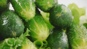 drops of water fall from cucumbers and lettuce close-up