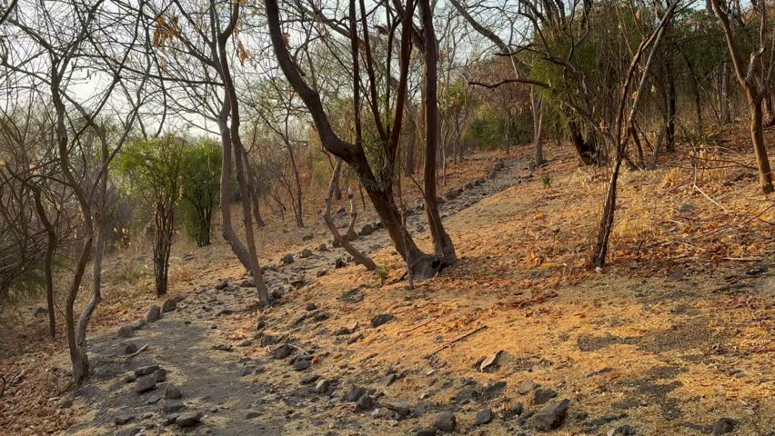 Hiking trail on Nankoma Island in the evening light. Lake Malawi. Malawi.
