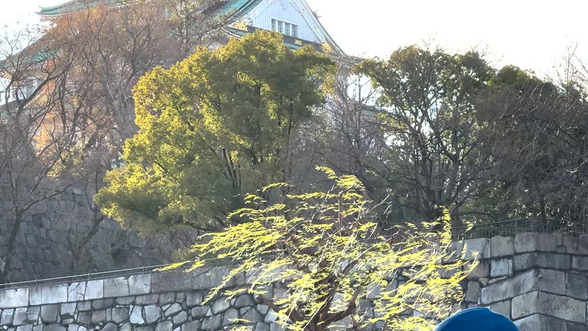 An Osaka castle in a winter day in Osaka, Japan.