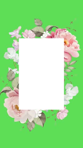 Shutterstock Video