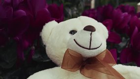 Plant Beautiful Flower Cyclamen and Sweet Adorable White Bear Toy - Powered by Shutterstock - Get 15% off with code: PIKWIZARD15