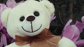 Plant Beautiful Flower Cyclamen and Sweet Adorable White Bear Toy - Powered by Shutterstock - Get 15% off with code: PIKWIZARD15